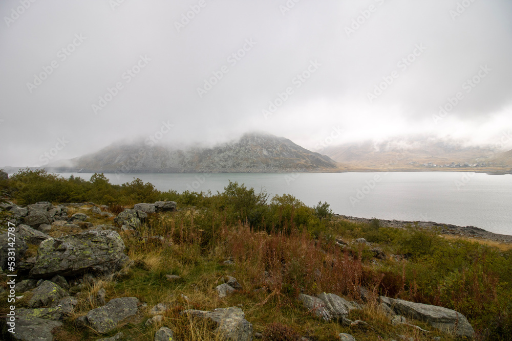 fog in the mountains