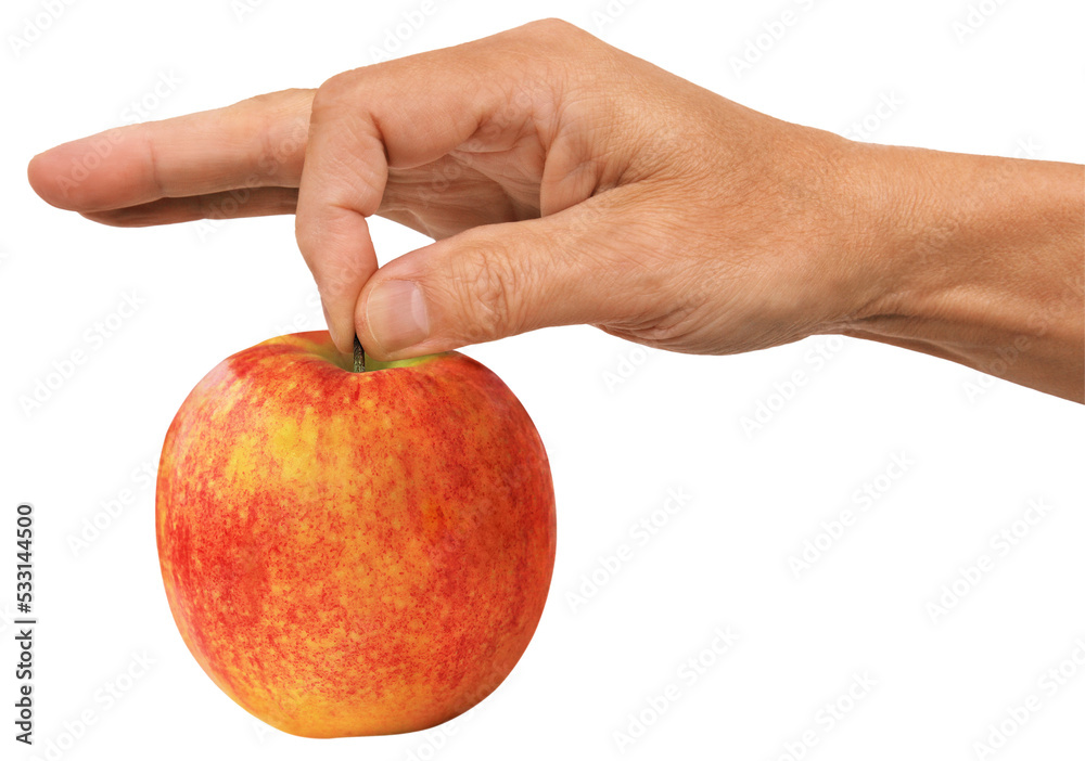 Gesture series: hand presents an apple. Gesture series: hand presents an apple.