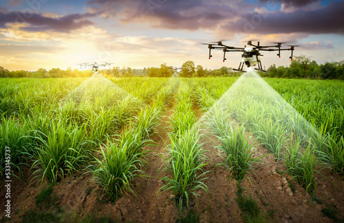 Attractive farmers bring a drone over farmland with soil moisture monitoring Yield problems and send information to smart farmers. High technology innovations to increase agricultural productivity.