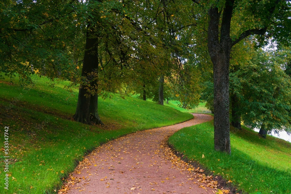 path in the park path in the park