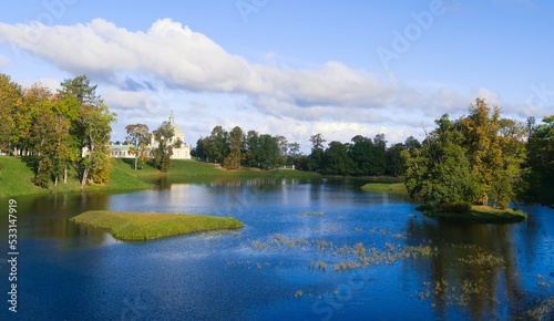 lake and forest