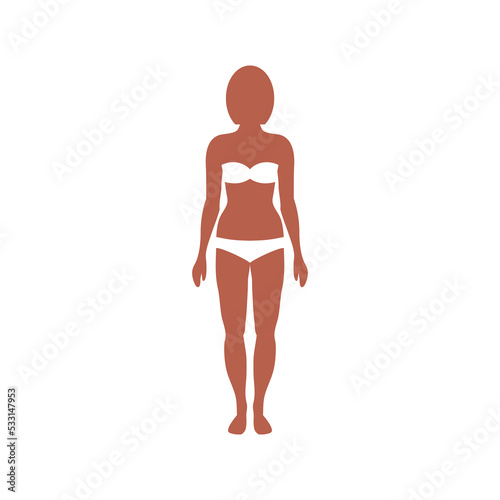 Standard slender female figure in full growth