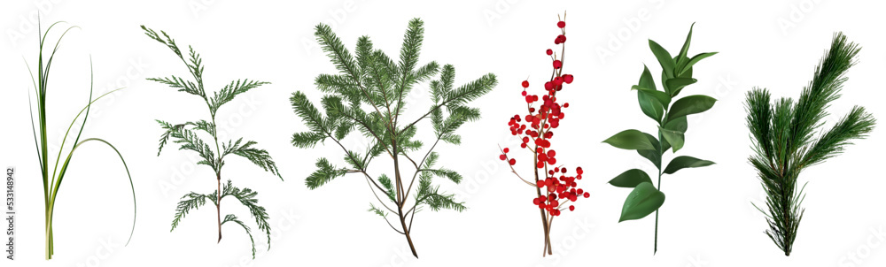 Mix of seasonal herbs and plants vector collection. Christmas winter greenery - obrazy, fototapety, plakaty 