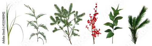 Mix of seasonal herbs and plants vector collection. Christmas winter greenery