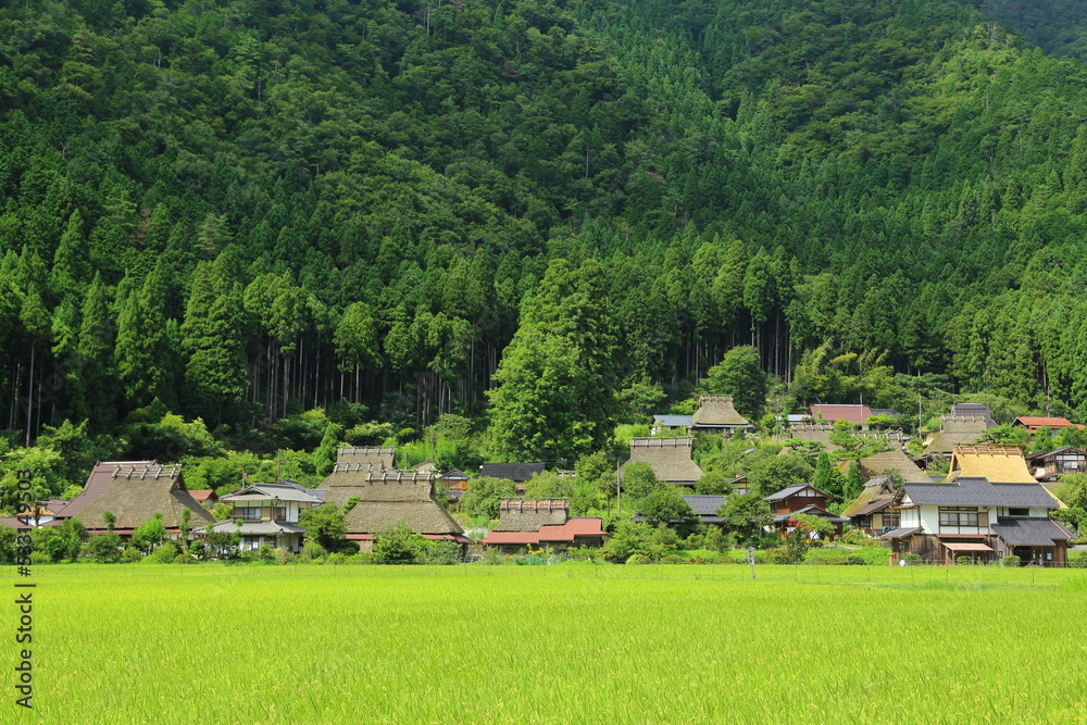 Nature, Mountain village, Miyama Kayabuki-no-Sato