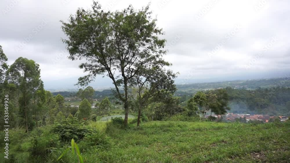 beautiful mountain natural scenery hilly nature panorama, with forest of tall green trees and green slopes under cloudy blue sky in daytime beautiful mountain natural scenery hilly nature panorama, with forest of tall green trees and green slopes under cloudy blue sky in daytime
