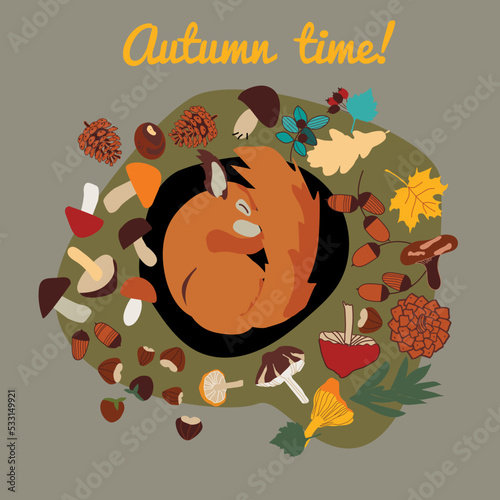 autumn background with sleeping squirrel