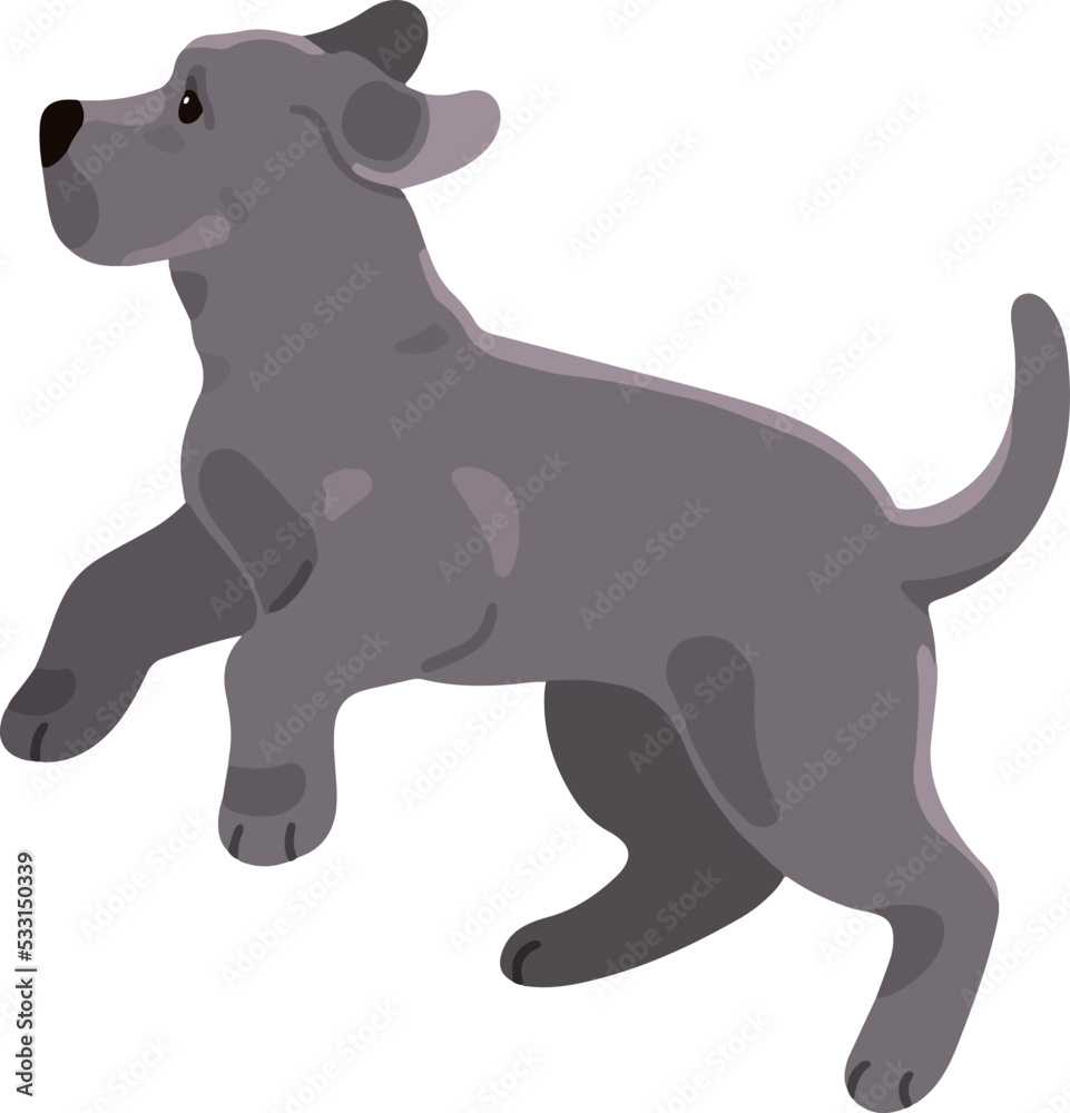 Simple and adorable Great Dane illustration jumping flat colored