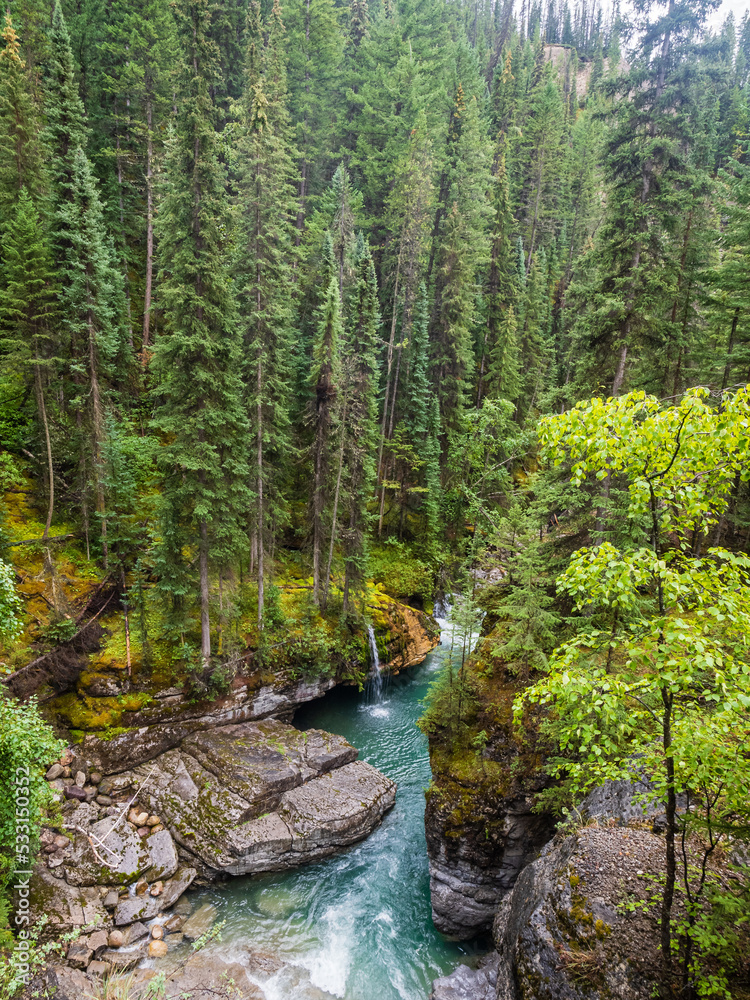 maligne canyon turquoise river in the forest in jasper national park maligne canyon turquoise river in the forest in jasper national park
