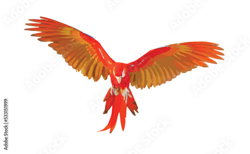 Scarlet macaw parrot flying isolated on white background. Vector 