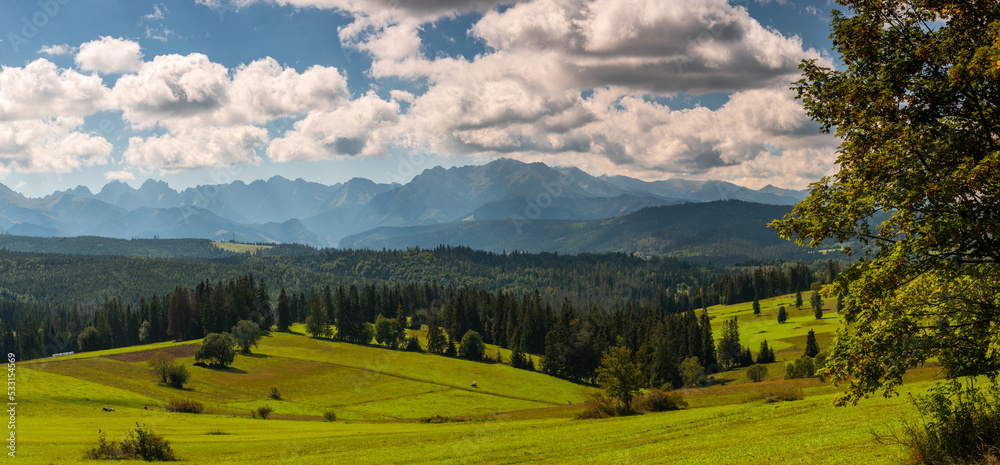 Panorama of nature landscape in Carpathia mountains, with green meadows, blue sky and clouds