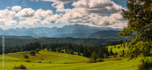 Panorama of nature landscape in Carpathia mountains  with green meadows  blue sky and clouds