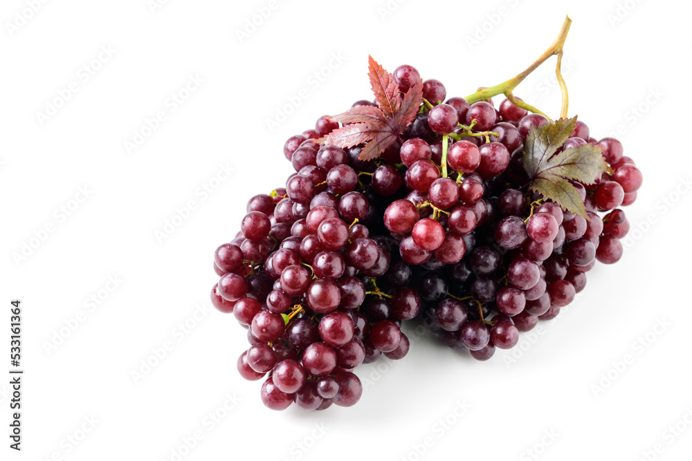 Champagne grapes isolated on white background.
