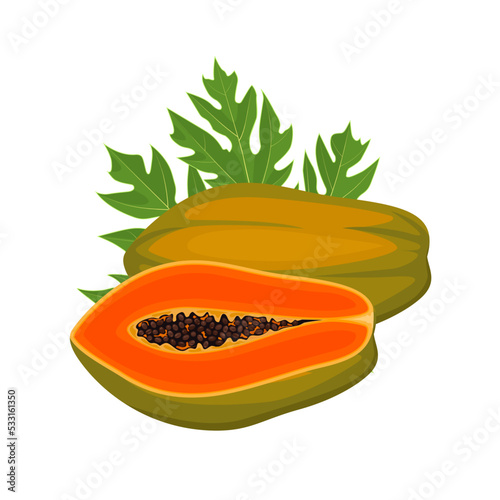 Vector illustration, ripe papaya fruit, with green leaves, isolated on white background.