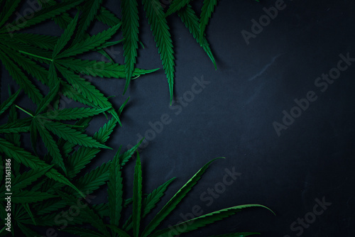 Cannabis leaves on black stone background,
