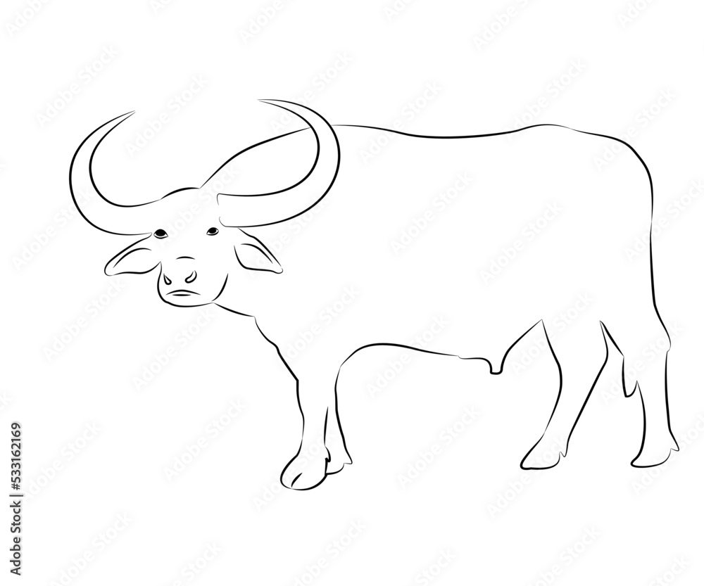 Hand drawn vector buffalo sketch illustration set. Isolated on white ...