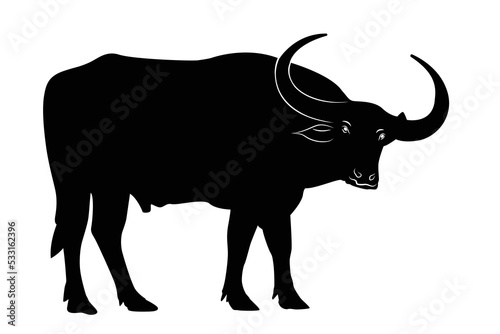 Vector image of an buffalo on white background.vector isolated buffalo with black color design illustration 