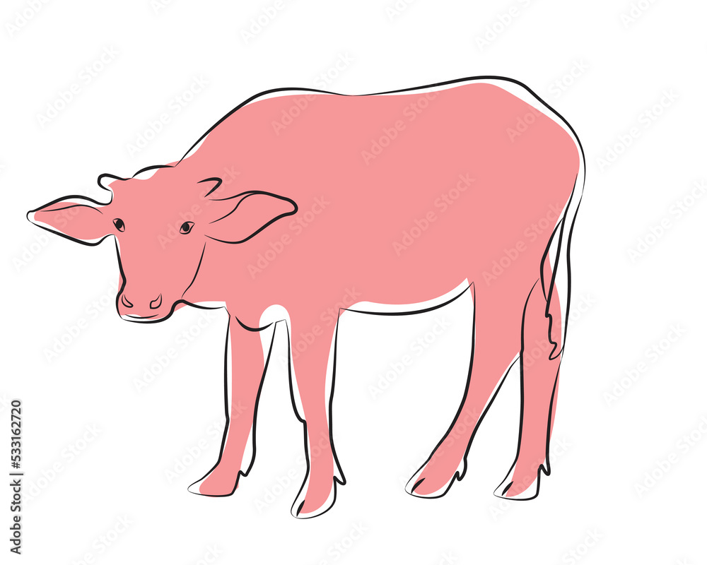 Hand drawn vector buffalo sketch illustration set. Isolated on white ...