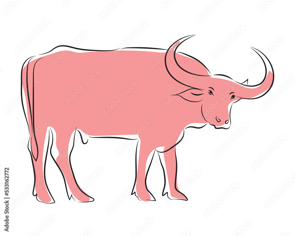 Hand drawn vector buffalo sketch illustration set. Isolated on white ...