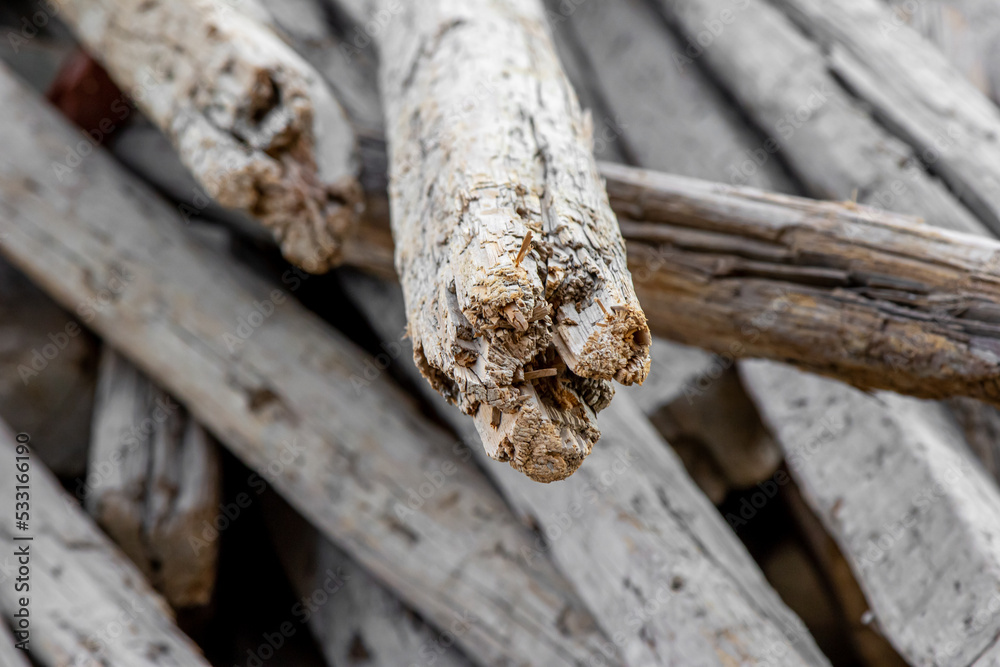 Pile of old wooden sticks, slats with rusty nails. Pile of old wooden sticks, slats with rusty nails.