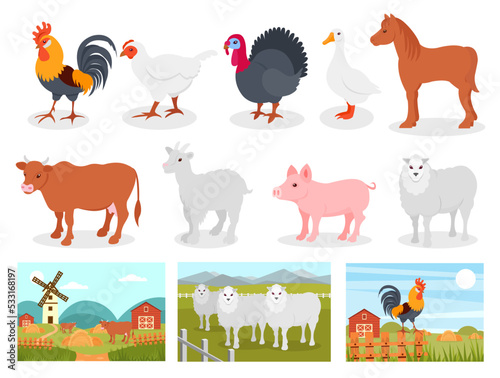 Fototapeta Naklejka Na Ścianę i Meble -  Farm Animals and Livestock with Poultry and Cattle Big Vector Set