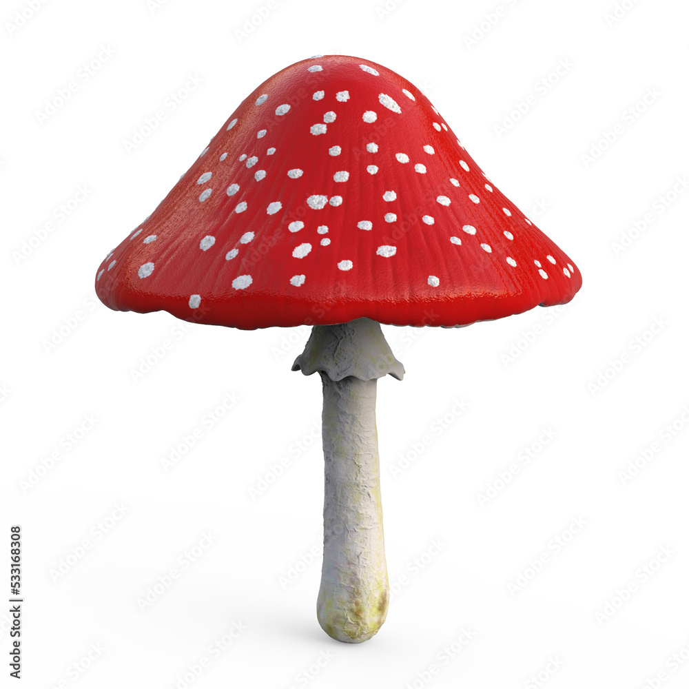Fly agaric mushroom with red cap and white dots, Amanita mushroom, illustration Fly agaric mushroom with red cap and white dots, Amanita mushroom, illustration