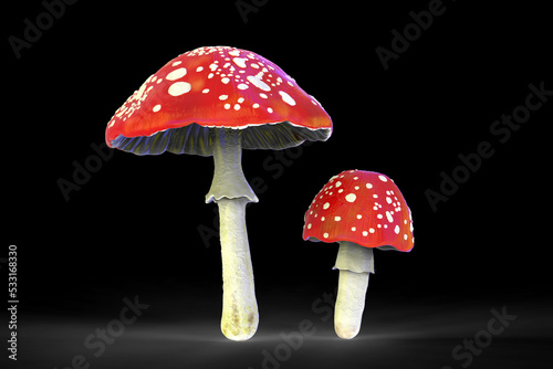 Fly agaric mushroom with red cap and white dots, Amanita mushroom, illustration