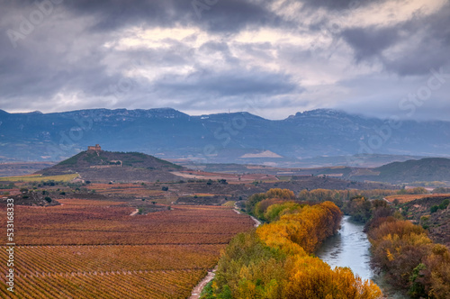 Vineyards in La Rioja, Spain.. © StockPhotoAstur