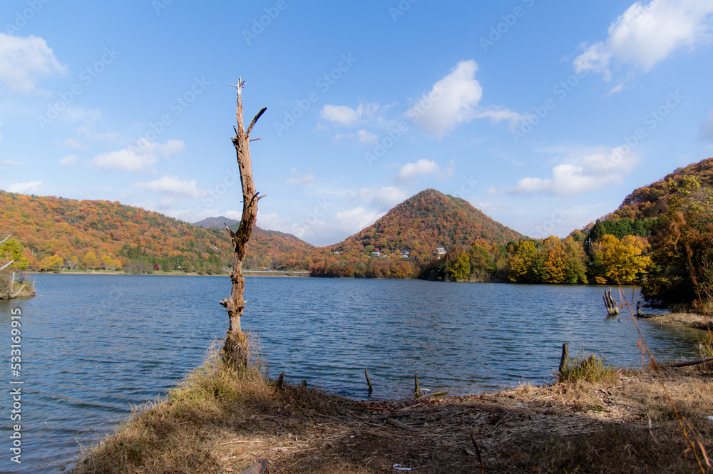 千丈寺湖(兵庫県三田市)の秋