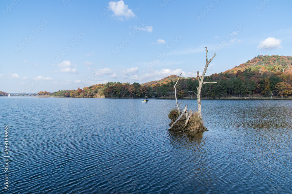千丈寺湖(兵庫県三田市)の秋
