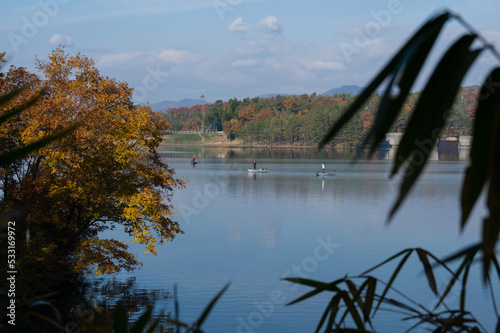 Obraz na płótnie 千丈寺湖(兵庫県三田市)の秋 w salonie