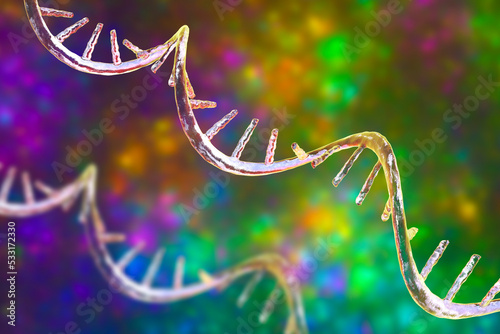 Foto Molecule of mRNA, 3D illustration