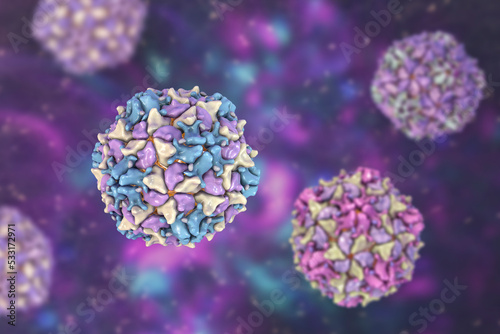 Poliovirus  an RNA virus from Picornaviridae family that causes polio disease