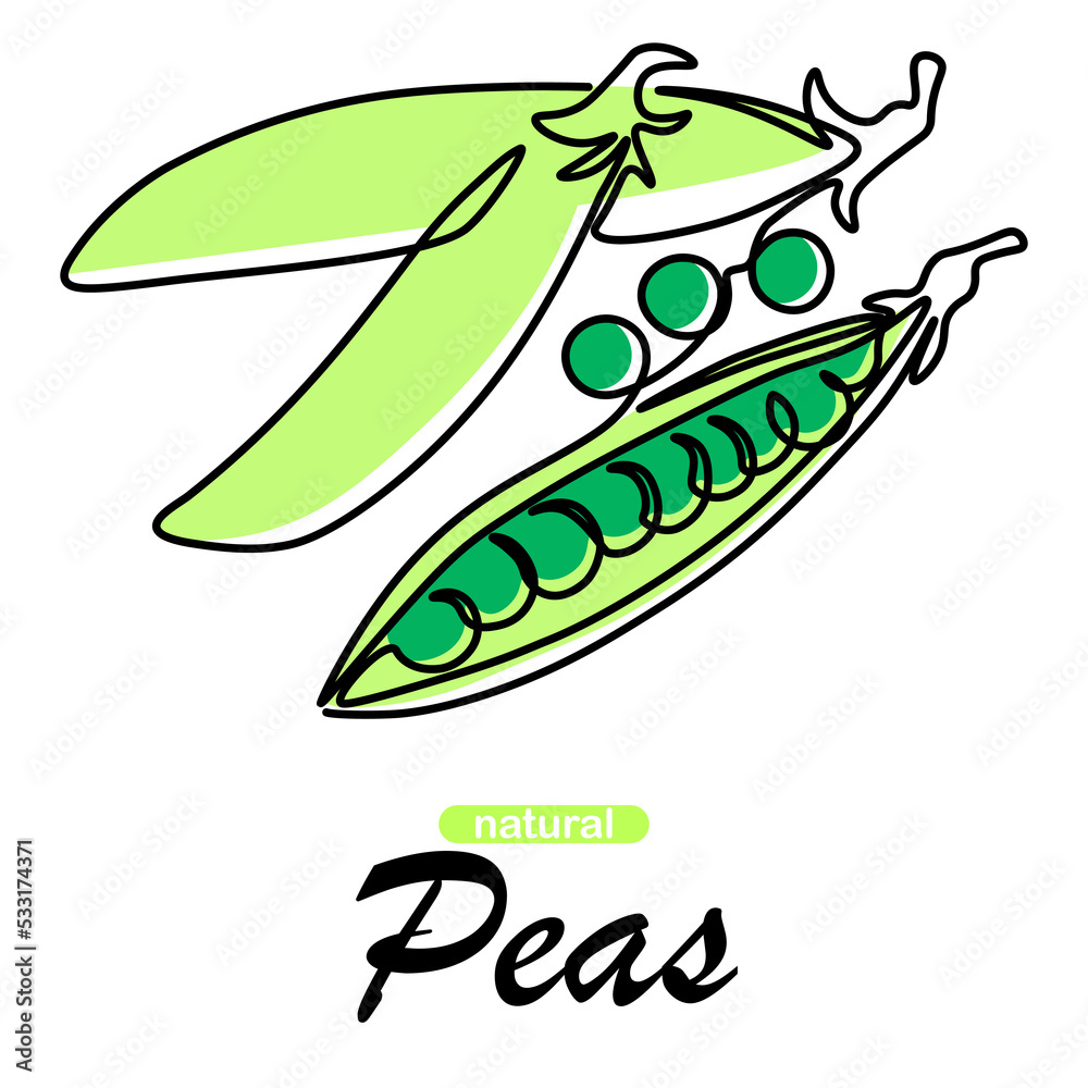 Fototapeta premium Green peas. One line vegetables collection. Natural pod plant cooking raw ingredient. Healthy vegan nutrition. Vitamin fresh vegetarian product. Outline element and text. Vector illustration