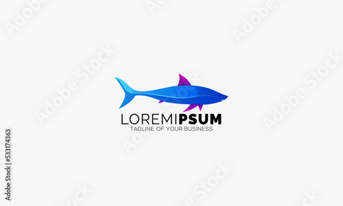 Abstract Colorful Shark Logo vector