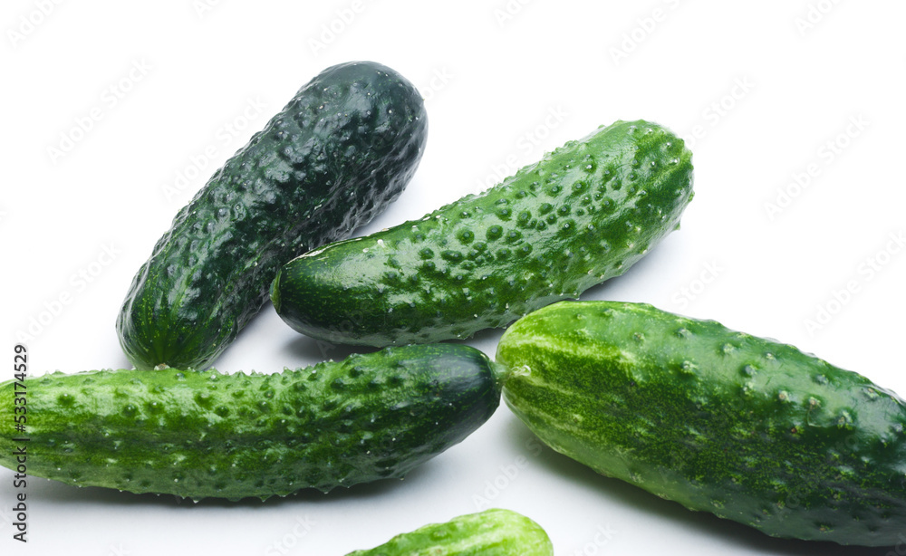 cucumbers on a white background cucumbers on a white background