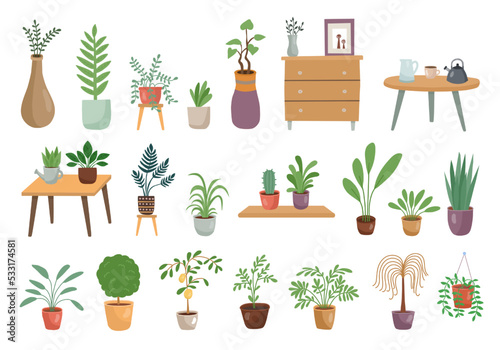 Home plants. House urban decor. Succulent garden. Modern hygge jungle. Indoor interior objects set. Flowers in trendy pots. Houseplants on tables and shelves. Vector flat illustration