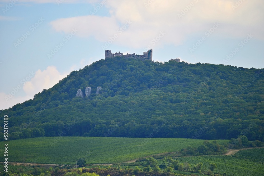 South Moravia - Palava - wine region in the Czech Republic. Ruins of an old castle. (Devicky-divci castle)