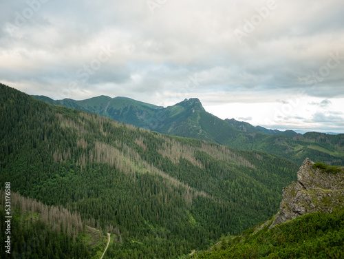 Fototapeta Naklejka Na Ścianę i Meble -  landscape in the mountains