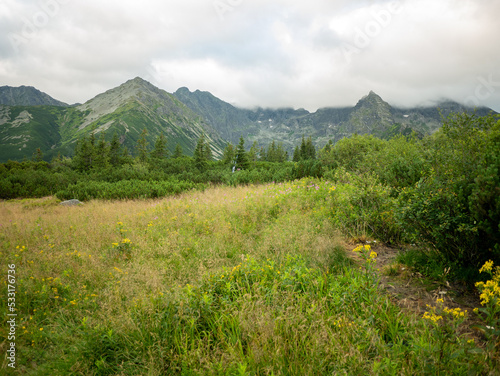 Fototapeta Naklejka Na Ścianę i Meble -  landscape in the mountains