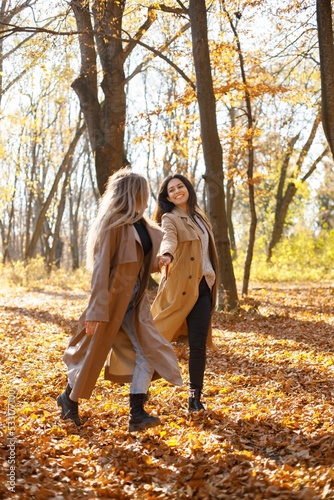 Two girls friends walking together in autumn park © prostooleh