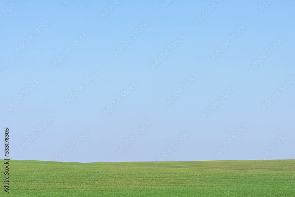 Green field with blue sky as background.