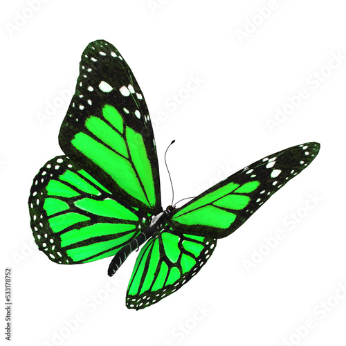 3d illustration of a green butterfly