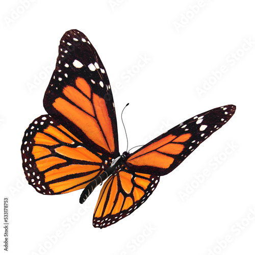 3d illustration of an orange butterfly