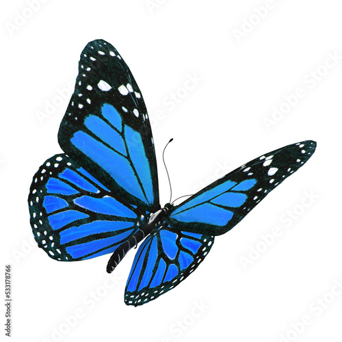 3d illustration of a blue butterfly