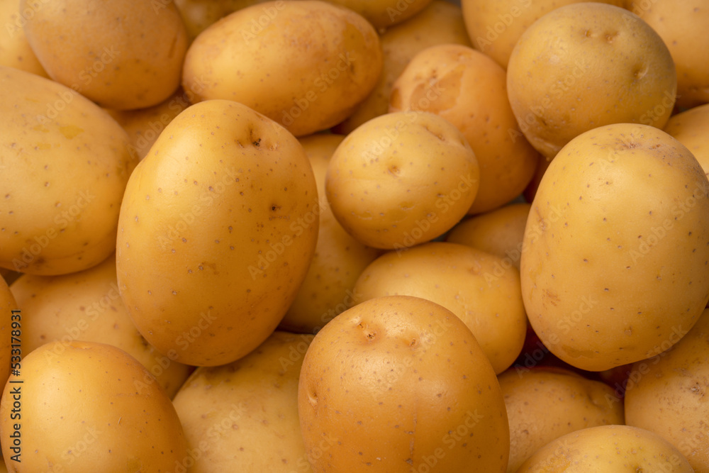 A group of fresh tasty potato as background. A group of fresh tasty potato as background.