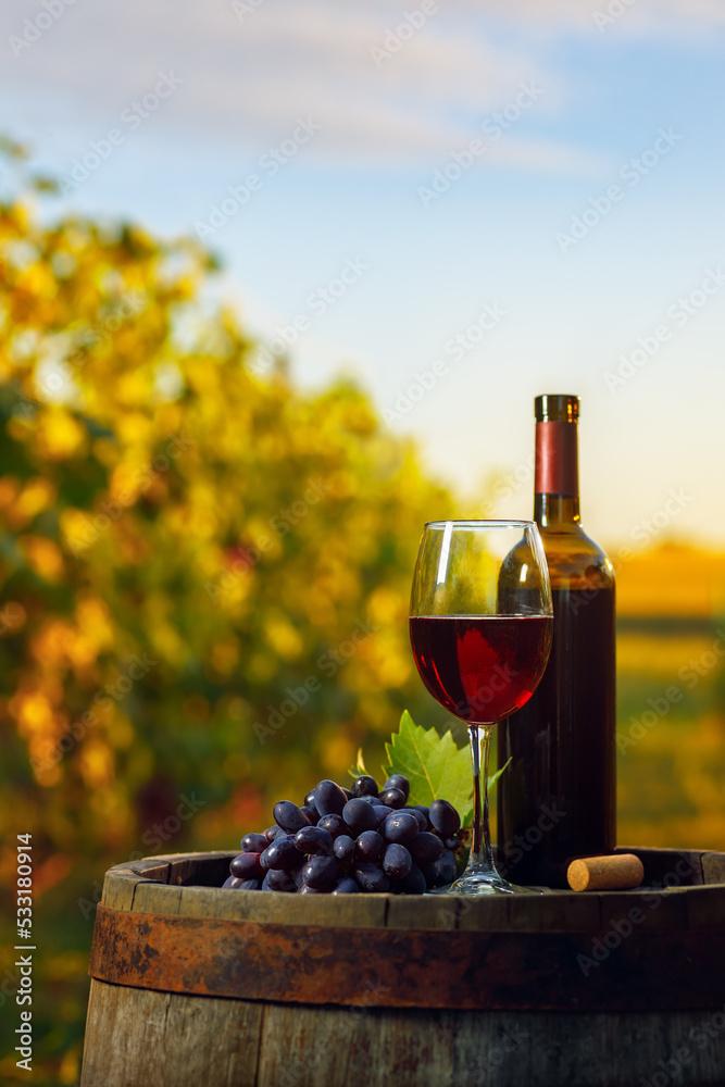 glass of red wine and grape on wooden barrel with vineyard