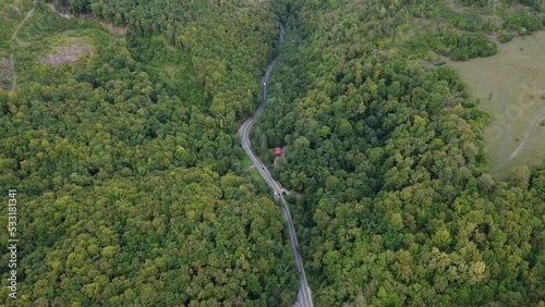 Wallpaper Mural drone footage with road in the mountains with green trees following cards Torontodigital.ca