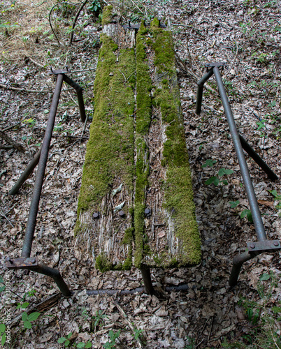 An ramshackle table in the forest is covered in moss photo