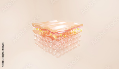 collagen and vitamin under skin cell.
serum through the skin layer and reduce up saggy skin of the skin cell. 3d rendering.  